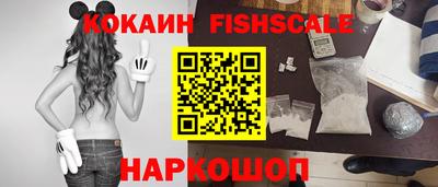 индика Пенза