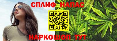 индика Пенза