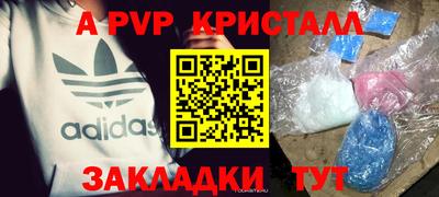 индика Пенза