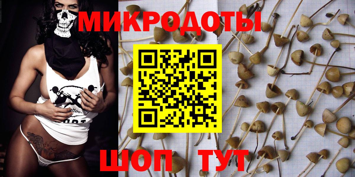Галлюциногенные грибы Cubensis  Вход с VPN  Белгород 
