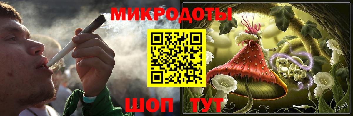 Галлюциногенные грибы Psilocybine cubensis Белгород